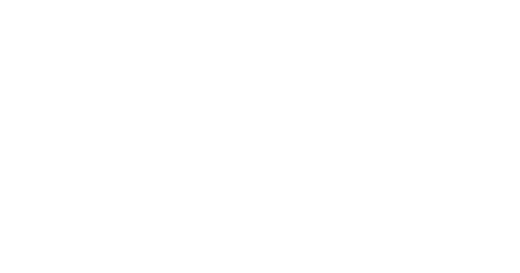 Limusinas GERIK